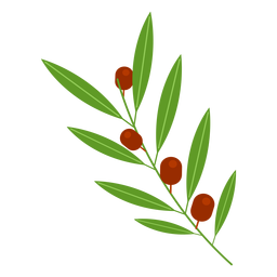 Olivenzweig Symbol PNG-Design