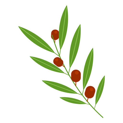 Icono de rama de olivo