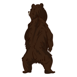 Standing Bear Rear View Cartoon PNG & SVG Design For T-Shirts