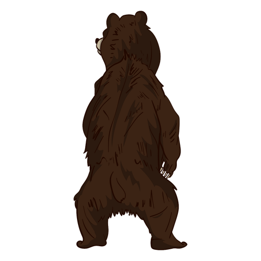 Standing bear rear view cartoon PNG Design