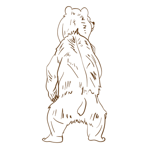 Standing bear rear view stroke PNG Design