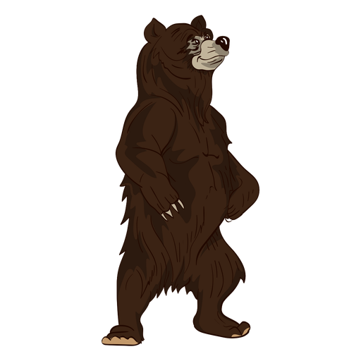 Standing brown bear cartoon PNG Design