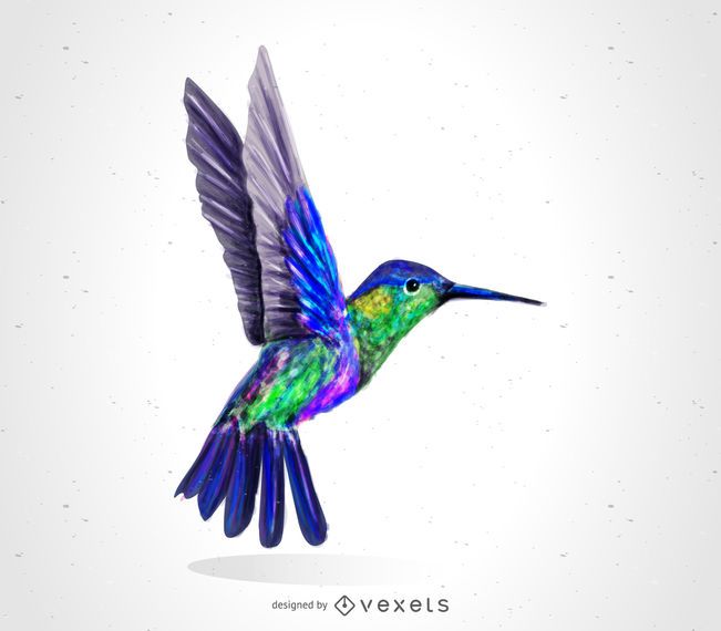 Hummingbird bird drawing Hummingbird bird drawing