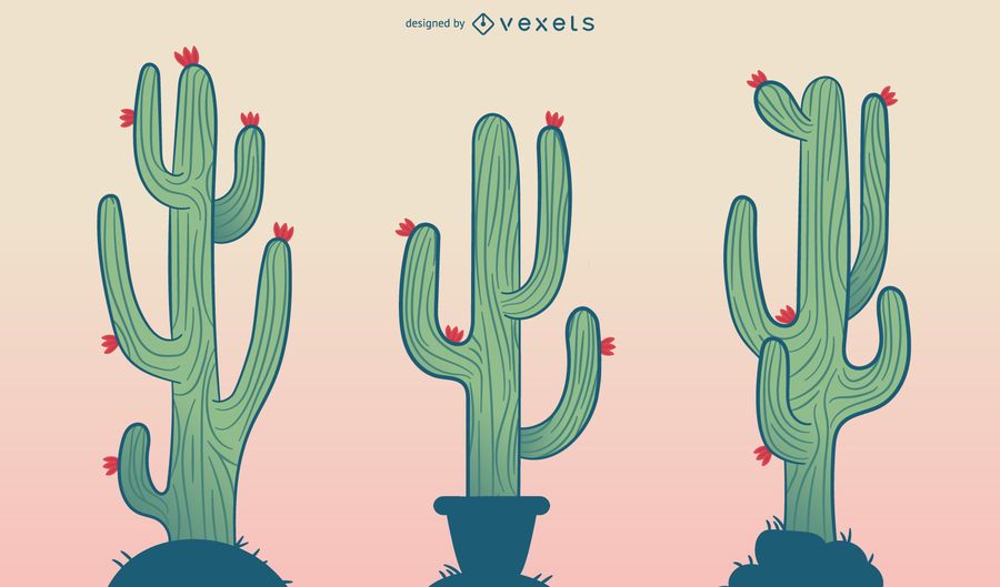 Cactus cartoon illustration set Cactus cartoon illustration set