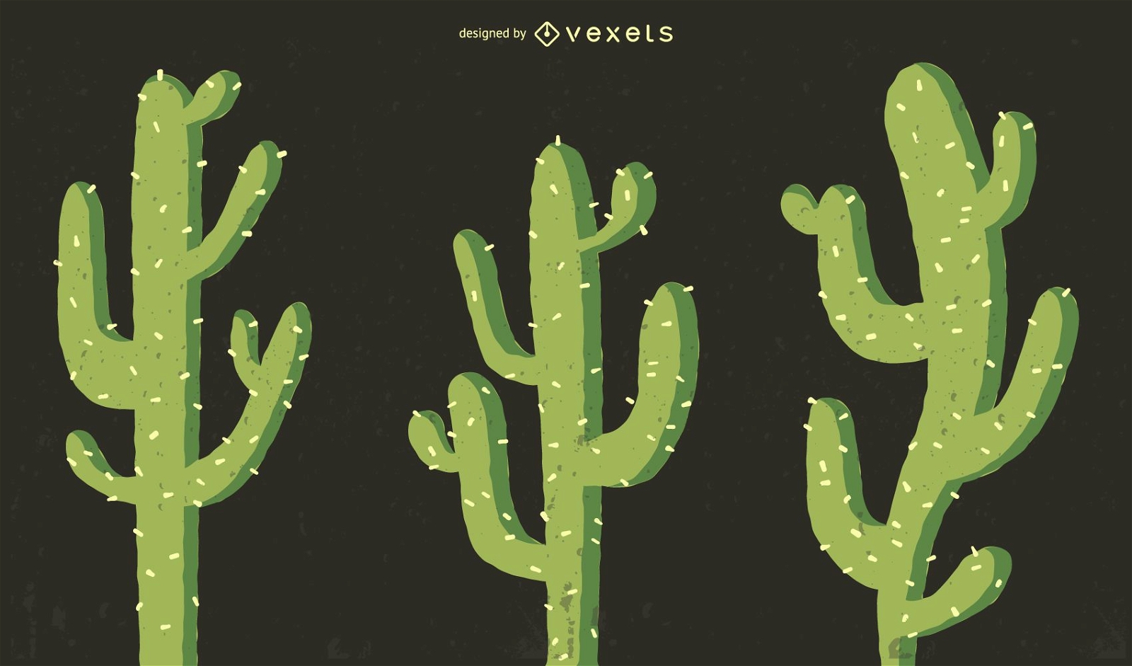 Cactus illustration set