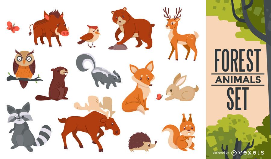 Conjunto de animais da floresta Conjunto de animais da floresta