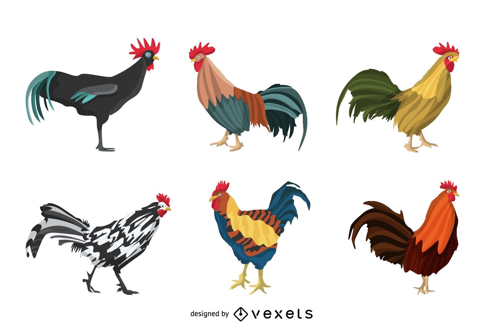 Rooster illustration set