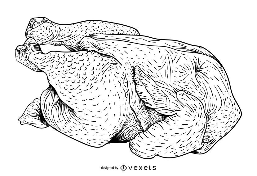 Raw chicken illustration Raw chicken illustration