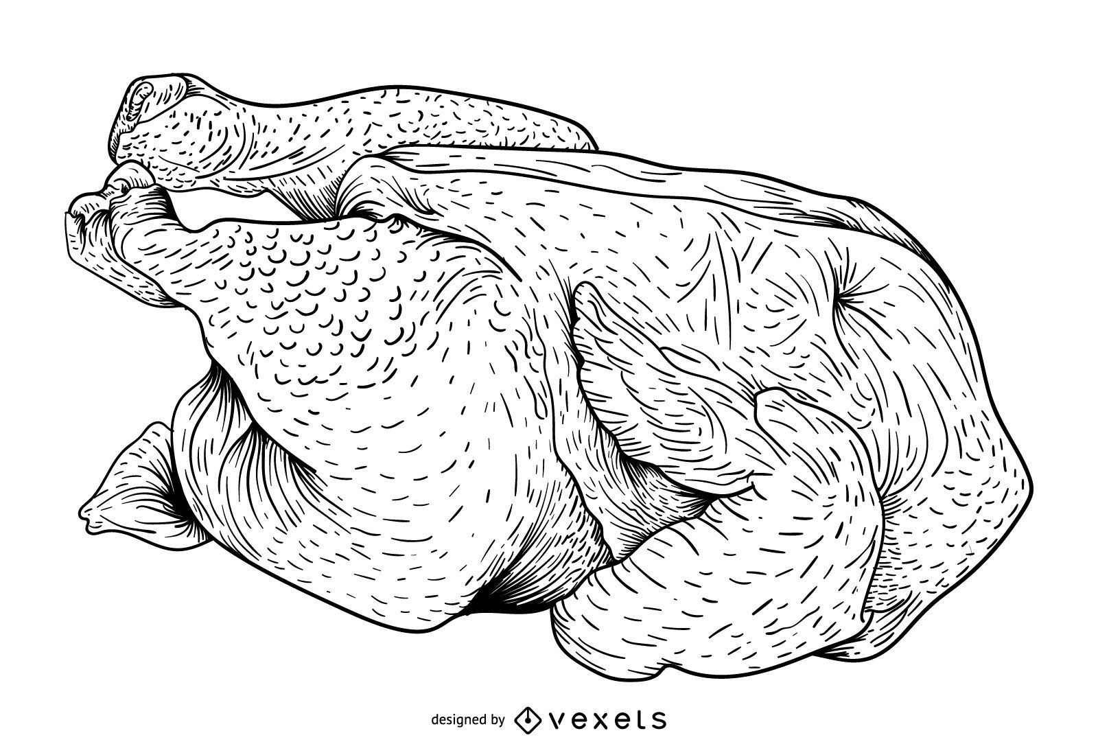 Ilustración de pollo crudo
