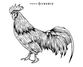 Ilustración de grabado de gallo
