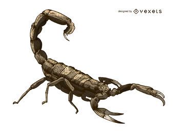 Estilo de tatuaje de ilustración de escorpión