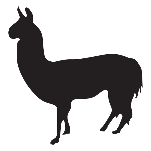 Isolated llama silhouette