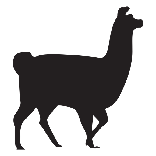 Isolated llama walking silhouette