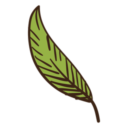 Plant leaf colored doodle PNG Design