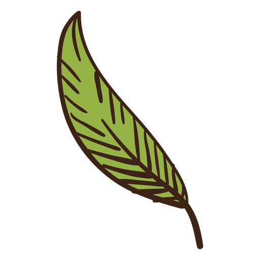 Doodle colorido de folha de planta Desenho PNG
