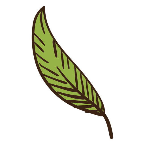 Plant leaf colored doodle PNG Design