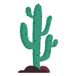 Prairie cactus illustration PNG Design