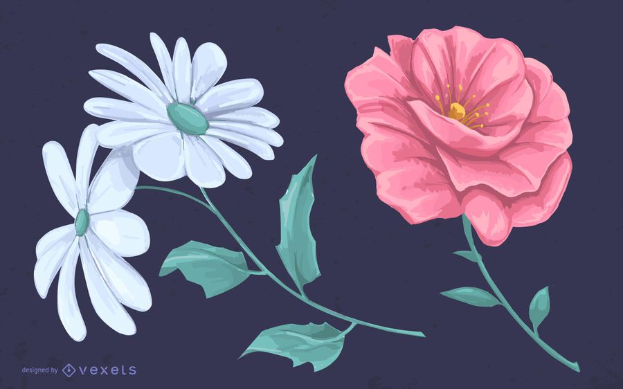 Illustrated flowers drawing design Illustrated flowers drawing design