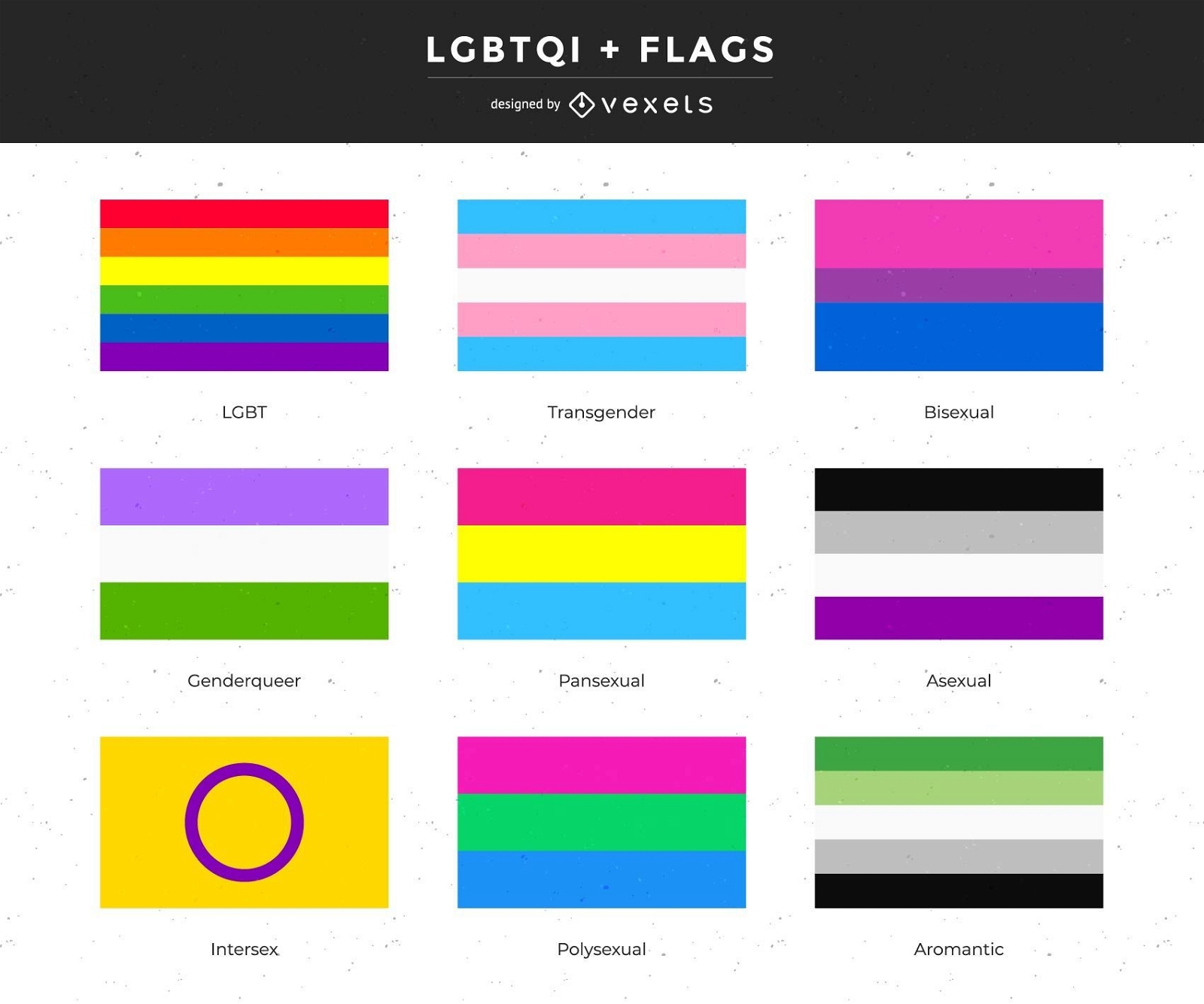 Sammlung von Gender- und LGBTQI + -Flaggen