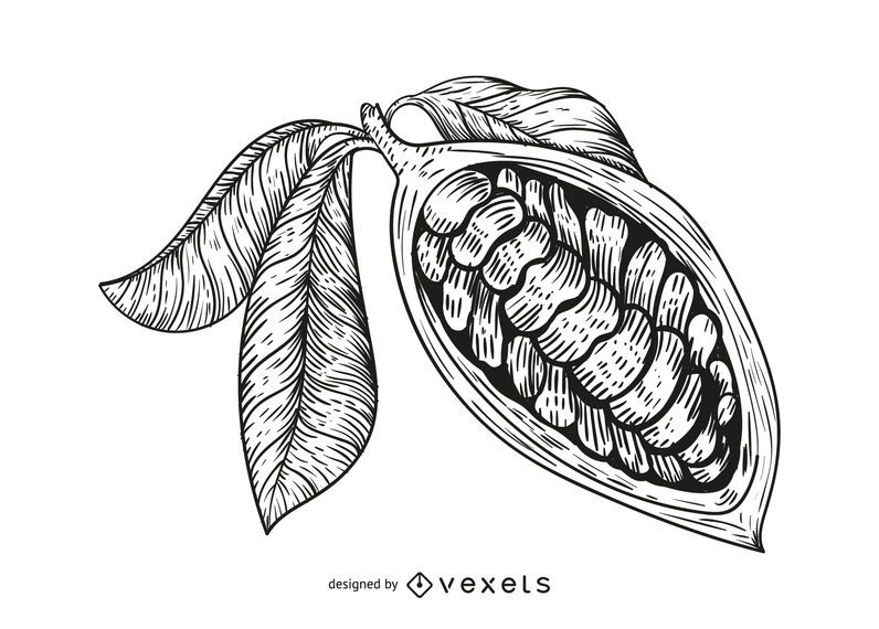 Open chocolate fruit illustration Open chocolate fruit illustration