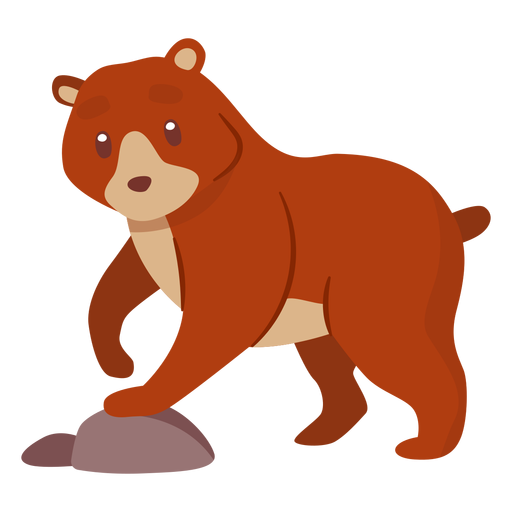 Urso animal dos desenhos animados