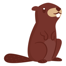 Desenho de animal castor Desenho PNG