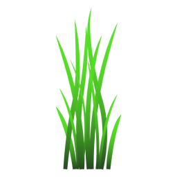 Blade of grass illustration PNG Design