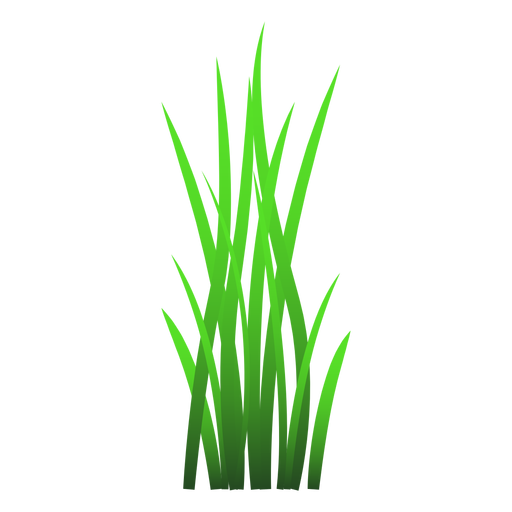Ilustración de brizna de hierba Diseño PNG