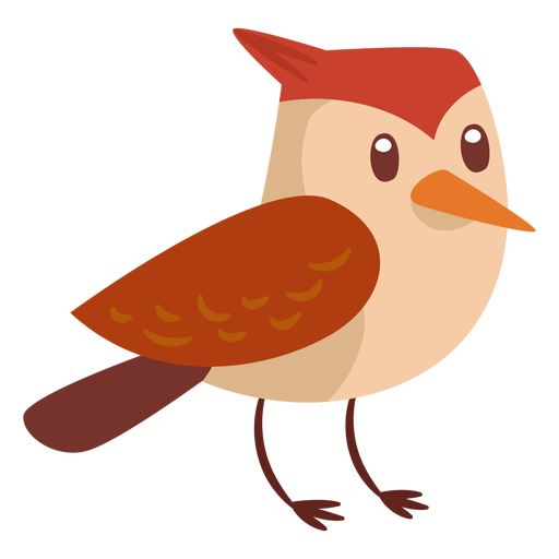 Dibujos animados de aves del bosque Diseño PNG