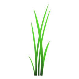 Ilustración de hojas de hierba Diseño PNG