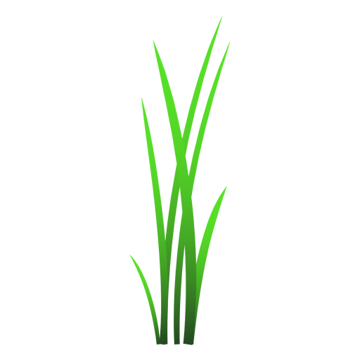 Ilustración de hojas de hierba Diseño PNG