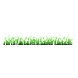 Grass lawn illustration PNG Design