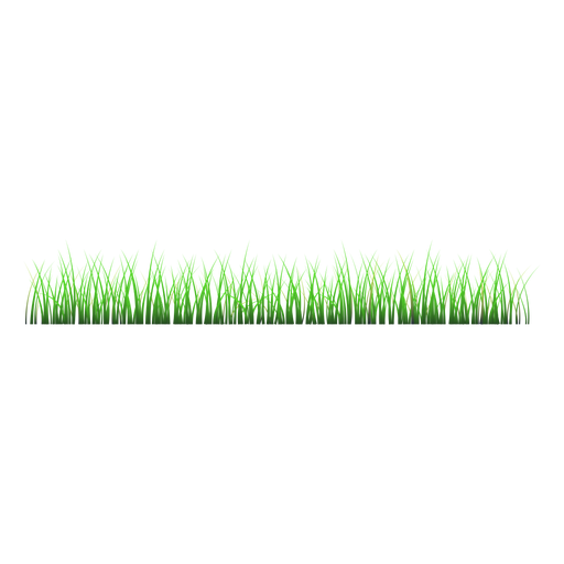 Grass lawn illustration PNG Design