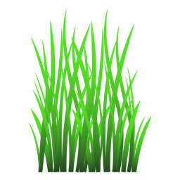 Ilustración de hojas de hierba Diseño PNG