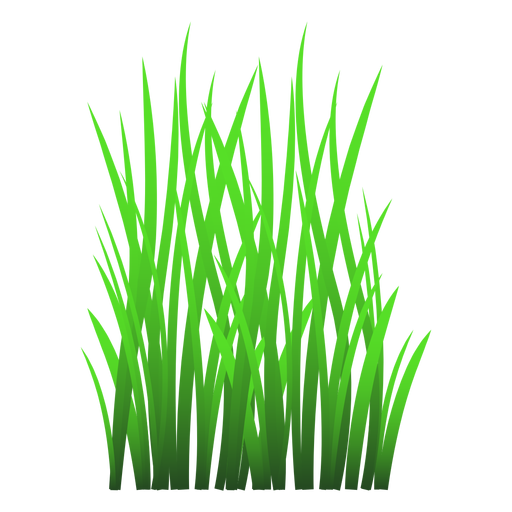 Grass leaves illustration