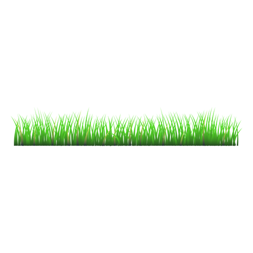 Grass meadow illustration PNG Design
