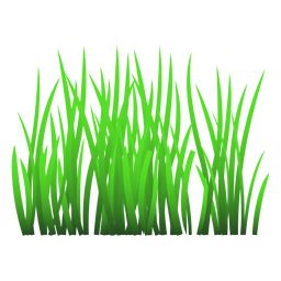 Ilustración de hierba verde Diseño PNG