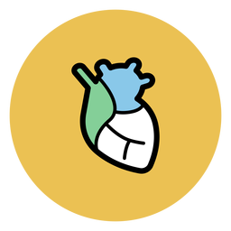 Ícone de órgão do coração Desenho PNG