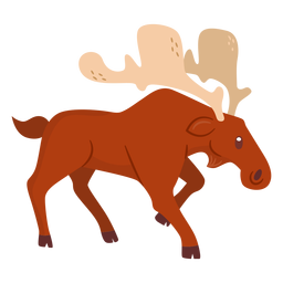 Dibujos animados de animales alces Diseño PNG