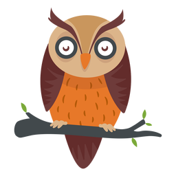 Owl bird cartoon Owl bird cartoon