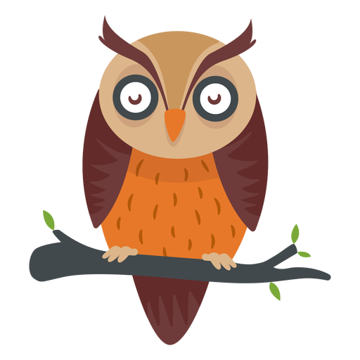 Owl bird cartoon PNG Design