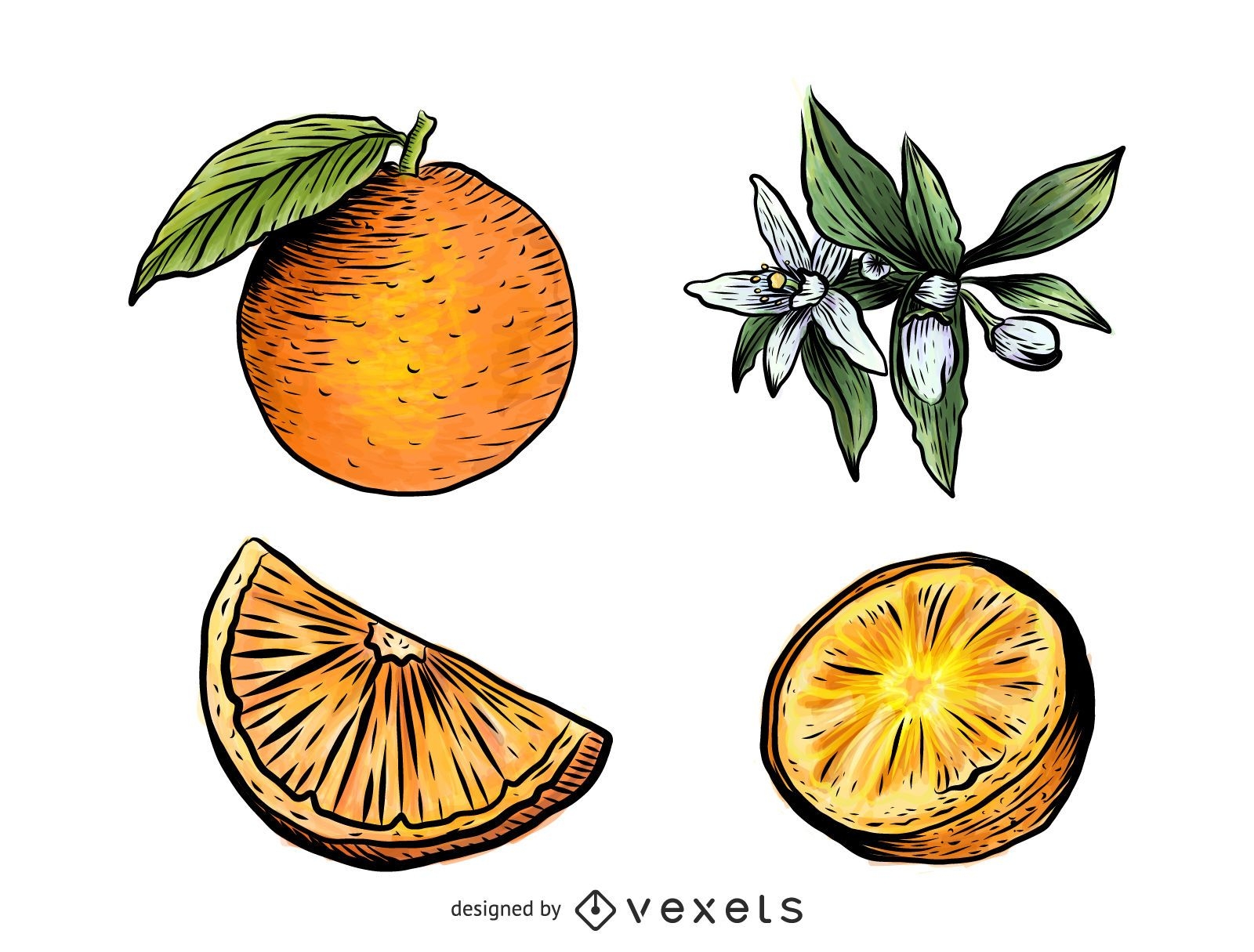 Conjunto de ilustración de elementos naranjas