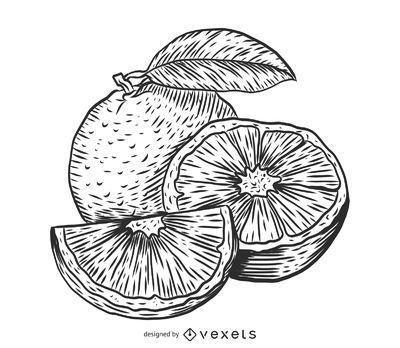 Three Fruit Lineart Oranges Clipart Black And White, Orange Drawing, Fruit  Drawing, Lip Drawing PNG Transparent Clipart Image and PSD File for Free  Download