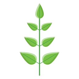 Icono de hojas de spa Transparent PNG
