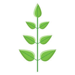 Spa verlässt Symbol PNG-Design