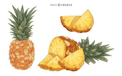 Ejemplo artístico del vector del dibujo de la mano del vintage de la fruta de la piña Ejemplo artístico del vector del dibujo de la mano del vintage de la fruta de la piña