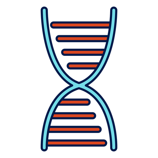 DNA-Kettenschulikone PNG-Design