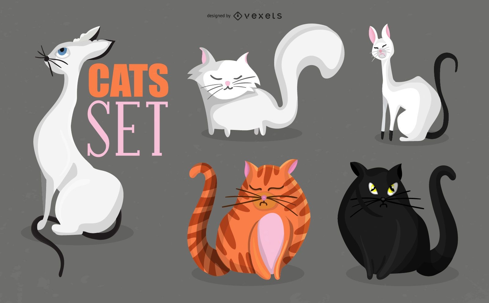 Isolated cats illustration set