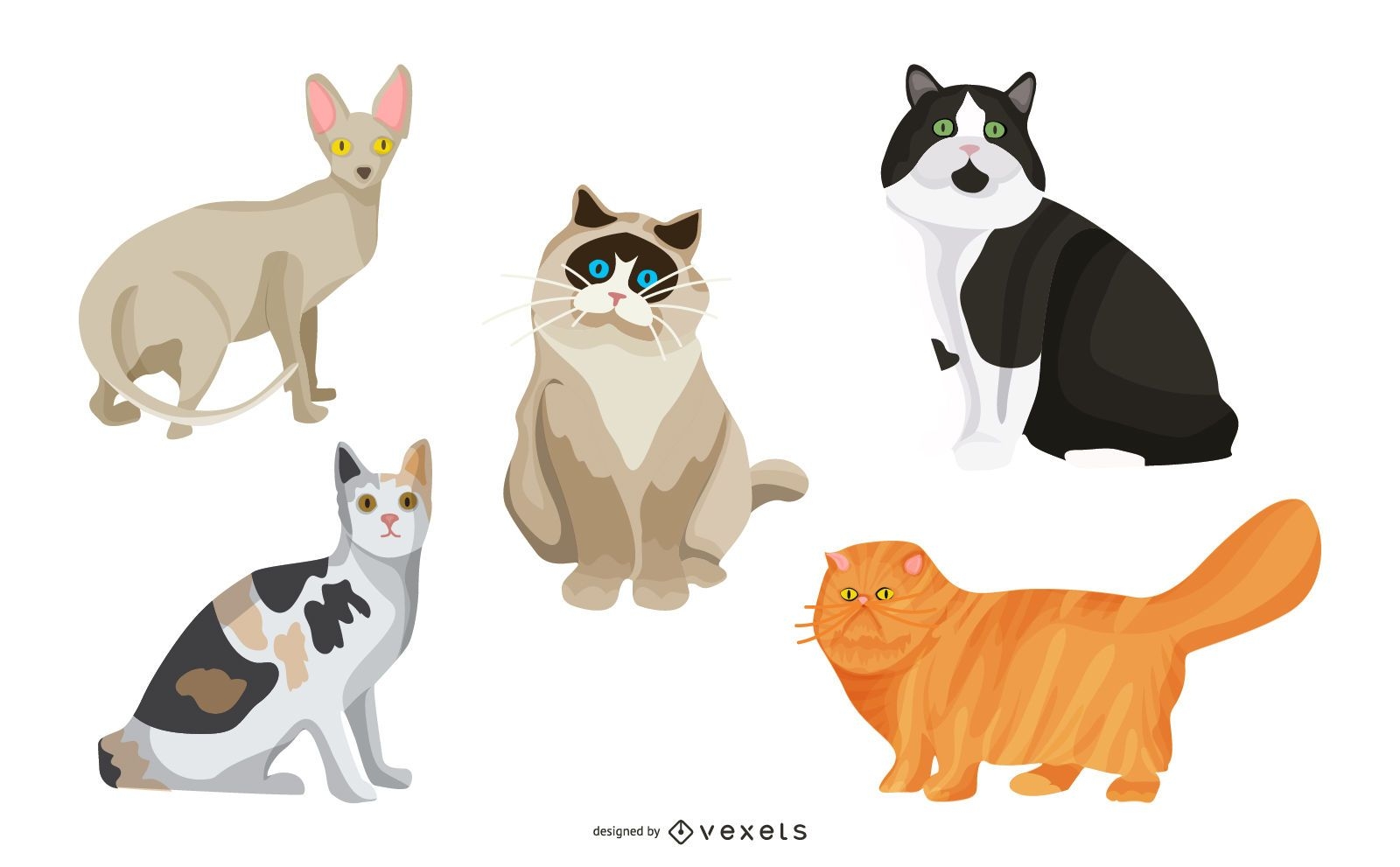 Conjunto de ilustração de gato