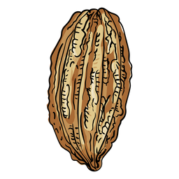 Cacao tree fruit illustration PNG Design